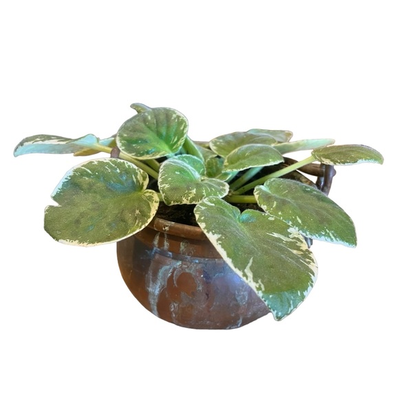 Antique Hammered Forged Copper Pot|Kettle Primitive Cauldron Patinated - Picture 2 of 11